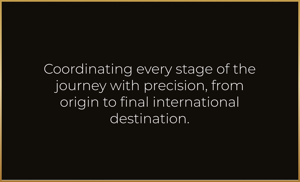 Logistics Coordination_Text
