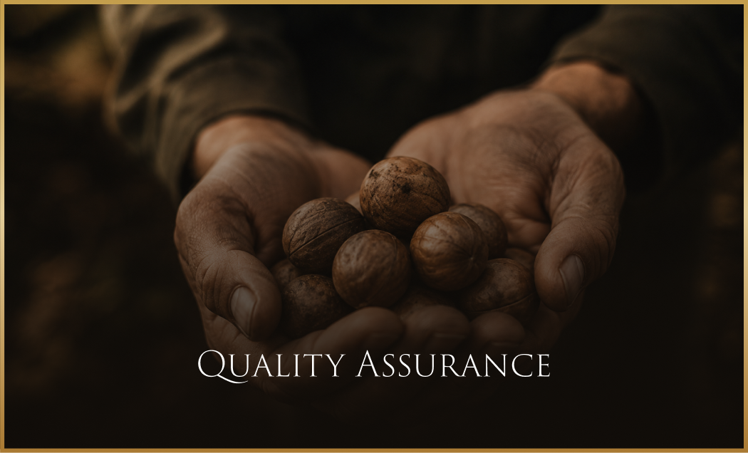 Quality Assurance_With Text